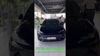 BYD SEAL excellence black, best color for this car !