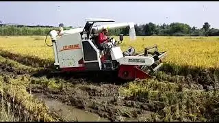 Best Budget, Multi crop Harvester Machine /Paddy Combined harvester(Fieldking)