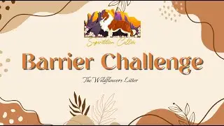 Barrier Challenge with 5 Week Old Puppies