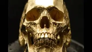 Into The Fire Jewelry - 18kt Gold Mid Size Full Jaw Skull Ring