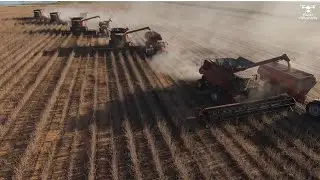 Harvest Season 2024( Soybean & Corn) | South Africa | Free State | KVU Bdy |