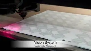 RMS Laser - Vision System