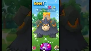 Наконец-то я получил ✨️Shiny Mega Camerupt Raid в Pokemon Go
