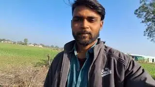 hamara baby dog ke baby ke sath | dog baby | vlog video | rajsthan