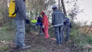 Cap.1 Curso Línea de defensa, incendios forestales 😜
