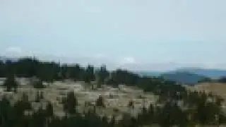 Vercors et anes