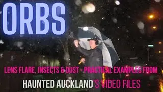 Orbs, Lens Flare, Insects and Dust - Practical examples from Haunted Auckland's video files.