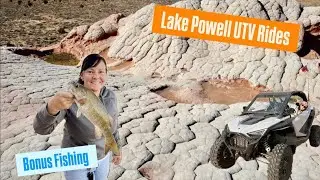 Lake Powell - UTV Rides - Alstrom Point - White Pocket - Bass Fishing