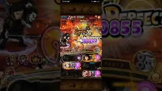OPTC Arena San Juan Wolf / 200m +