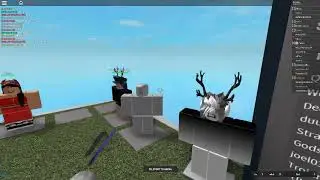 2v2 on auto duels lol