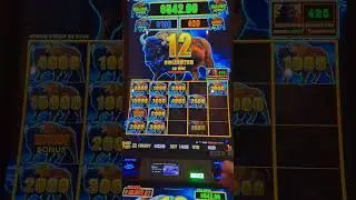 🍻Big Numbers On Buffalo Lightning Link🥳🤯🎉 @JACKClevelandCasino #shorts #shortsfeed #casino #slot