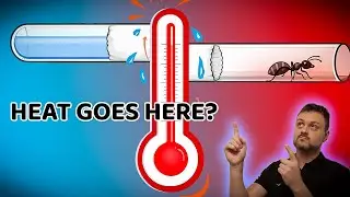 Dangerous vs Safe Heating 🐜 | How to Heat Ant Colonies Without Stress