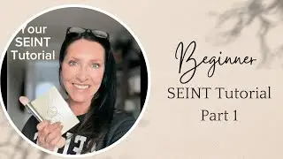 Welcome to SEINT! Your first Application