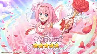 Princess Connect Re Dive Update Twinkle Wish 6 Star