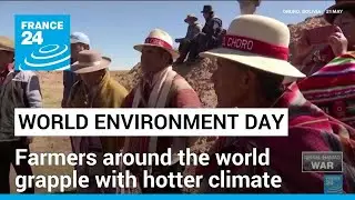World Environment Day 2024: Farmers around the world grapple with hotter climate &bull; FRANCE 24