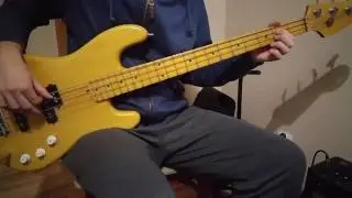 Manaam - Krakowski Spleen (bass cover)