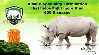 Phyto Atomy Rhino Thor | with Cordyceps | Product Launch | Helps Cure 600 Diseases