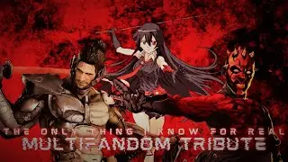 The Only Thing I Know For Real (Multifandom AMV/MMV/GMV Tribute)