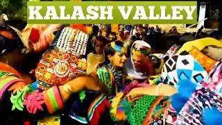 Kalash Valley Pakistan 🇵🇰 | Anokhi Qoum, Rang Birangi Riwayat | Chitral Travel Vlog #kalash