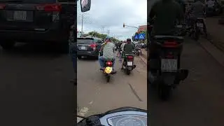 Chở Pet Đi Ch&aacute;y Phố  #dulichcungfinn #yamahajupiterfinn #yamahafinn
