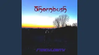 Ridiculosity