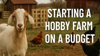 How to Start a Hobby Farm on a Budget