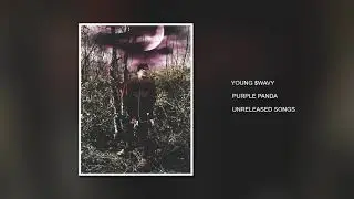 Young $wavy - Purple Panda ( Prod By Scottie Flames )