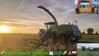 🌽Kukurydza🌽 na kiszonkę 🗓️2025|Claas Jaguar 950|3xNew Holland,John Deere,Kubota,Zetor|🚜🐄🌽