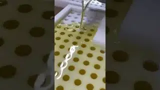Do we wash the lip balm tubes before we use them?