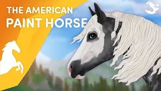 Star Stable UPDATED American Paint Horses + Special Gait! 😍 Coats, Location, Reactions?