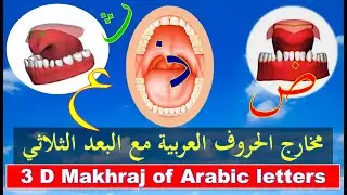 Arabic letters with pronunciation | Learn Tajweed | Quran with Tajweed | Tajweed Quran in Arabic
