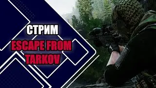 Играем в Escape from Tarkov 1.0 | Новички познают боль PVP или PVE? №4