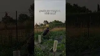 Repoblar la Espa&ntilde;a vac&iacute;a.