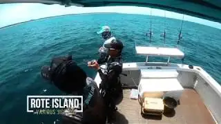Rote Island DMC World