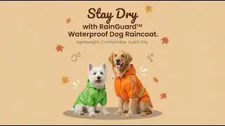 Step Up Your Pup's Style! | Adorable & Comfy Outfits from Qtie Paw