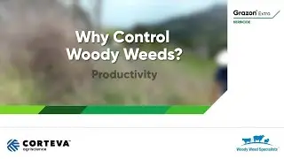 Why Control Woody Weeds - Productivity