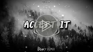 Z-Sharp - Accept It (Davsky Remix)