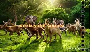 Animals singing in beautiful forest