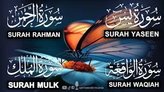 Surah Yasin ❤️ (Makki), Rahman, Waqiah & Mulk | Ep 308 | Daily Quran Recitation & Blessings