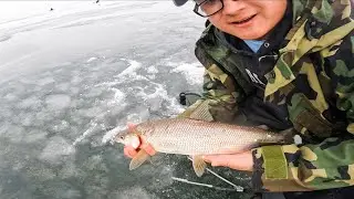 Grinding at the Bay of Greenbay for Whitefish | Wisconsin Ice Fishing