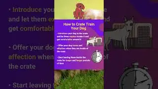 How to crate train your dog #short #train #tips