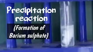 Precipitation reaction | Formation of Barium sulphate