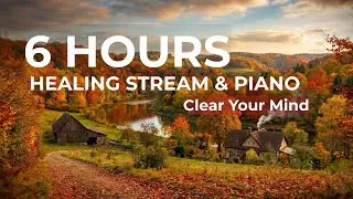 6 Hours of Healing Stream & Soft Piano | Clear Your Mind