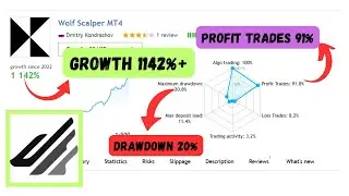 🐺Wolf Scalper EA &ndash; Fast, Safe, and Profitable Scalping on MT4