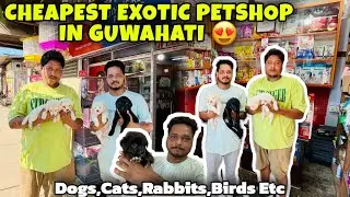 Cheapest Exotic Petshop in Guwahati 😍| Dogs,Cats,Rabbits,Birds,Etc