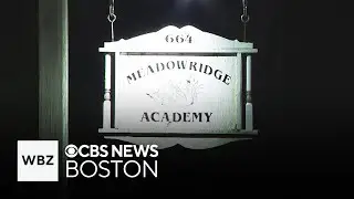 Swansea school staff member dies after alleged assault by student