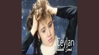 Yarim Ayrı Gezme