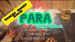 Yengeç Akrep Balık Kariyer Para ve Eğitim Şifa enerjileri ✨ Ocak ayı 