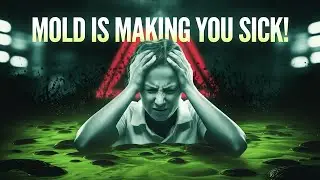 Mold Illness: Symptoms, Causes, and Effective Treatment Options: