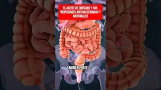 &iquest;Has probado el aceite de or&eacute;gano para mejorar tu salud digestiva?